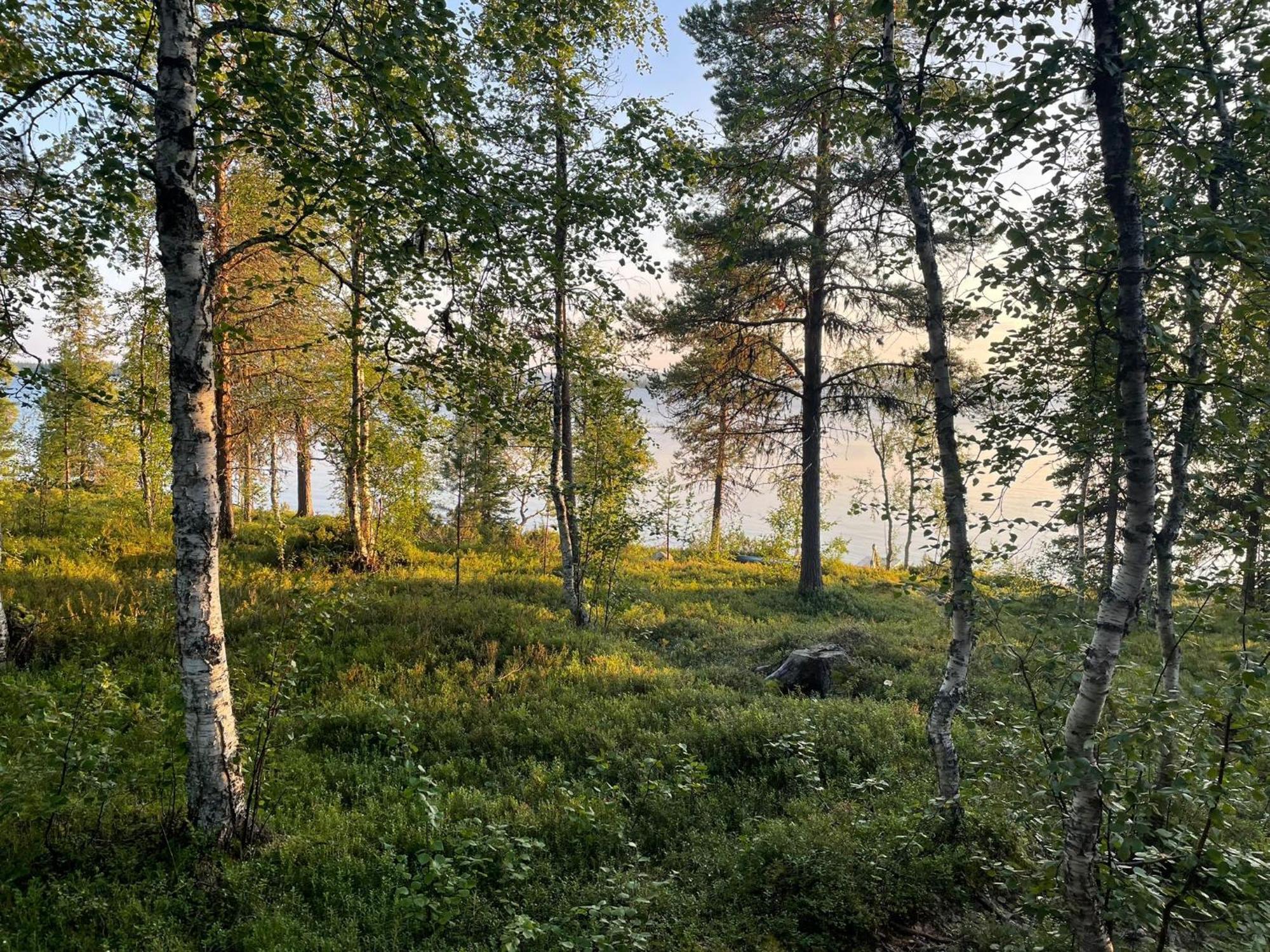 Lapland Dream Villas Rauhala Exterior photo