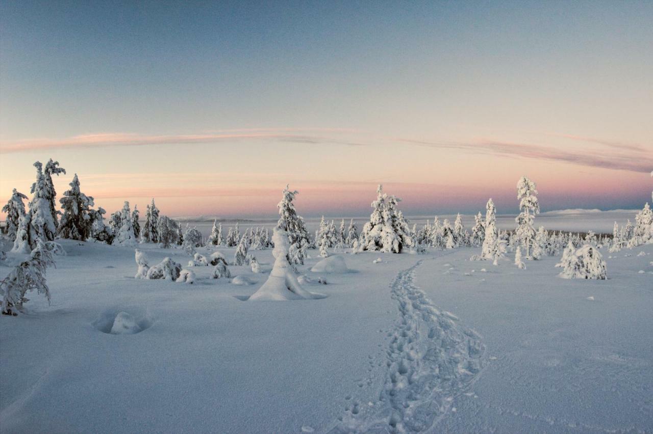 Lapland Dream Villas Rauhala Exterior photo